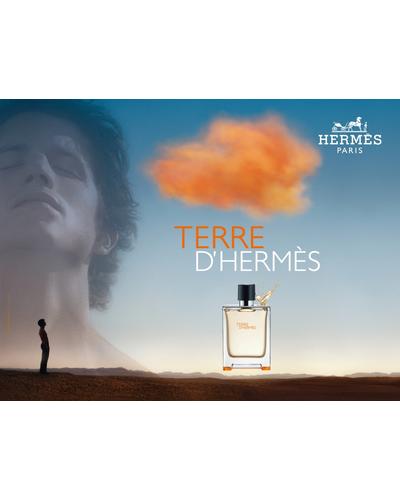 Hermes Terre d`Hermes Parfum фото 4