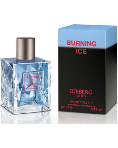 Iceberg Burning Ice фото 3