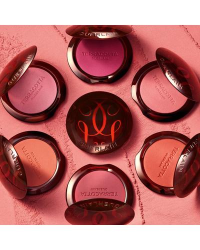 Guerlain Terracotta Blush Powder фото 1