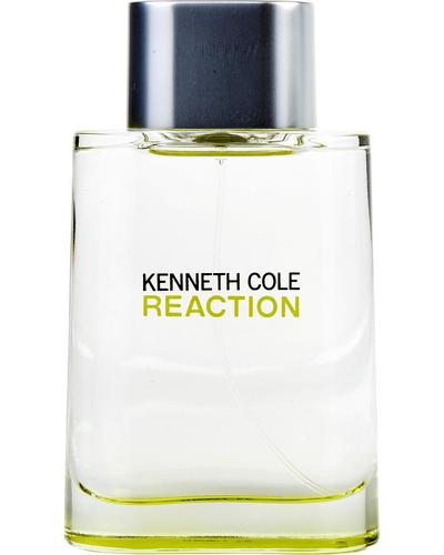 Kenneth Cole Reaction for Men главное фото